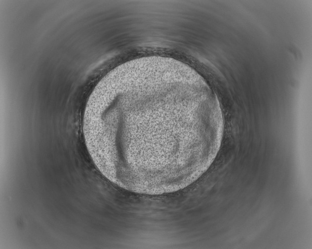 X0000113320870200910131126