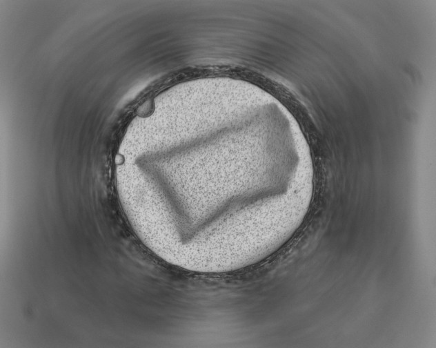 X0000113320871200910131126