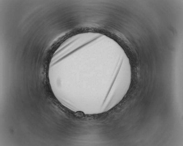 X0000113320872200910131126