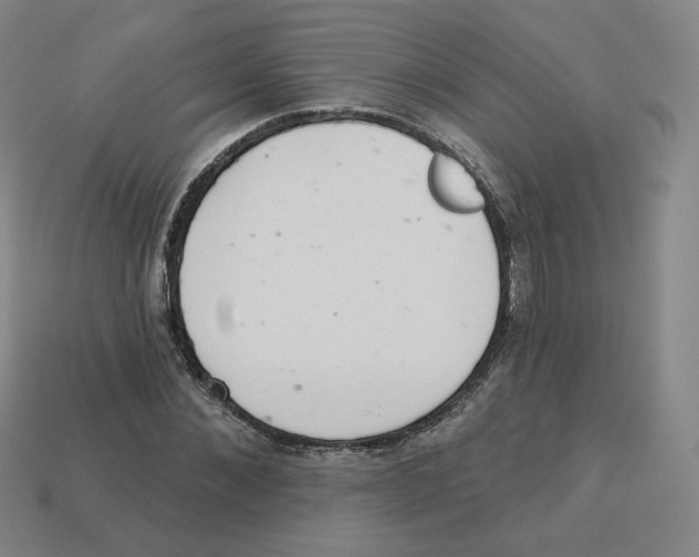 X0000113320876200910131126