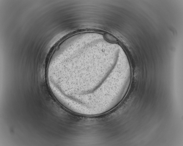 X0000113320877200910131126