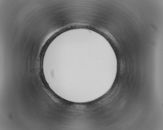 X0000113320878200910131126