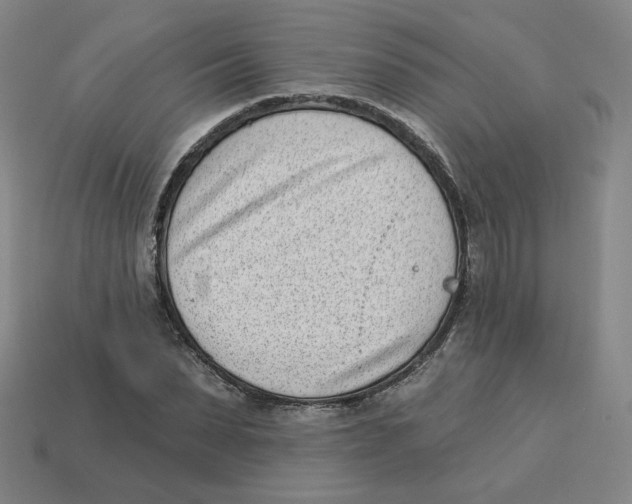 X0000113320879200910131126