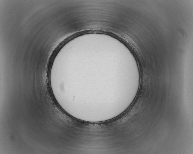 X0000113320880200910131126