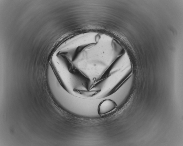 X0000113320881200910131126