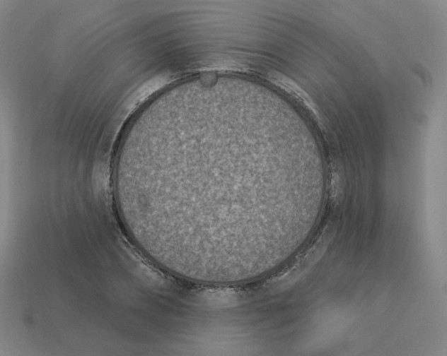 X0000113320882200910131126