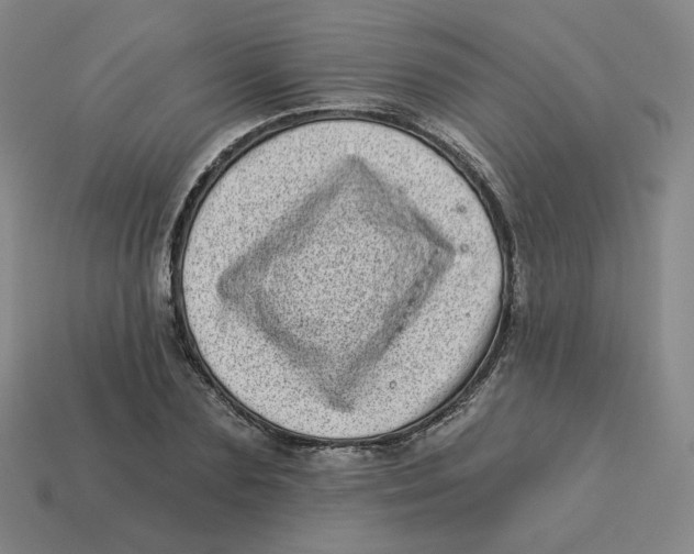 X0000113320883200910131126