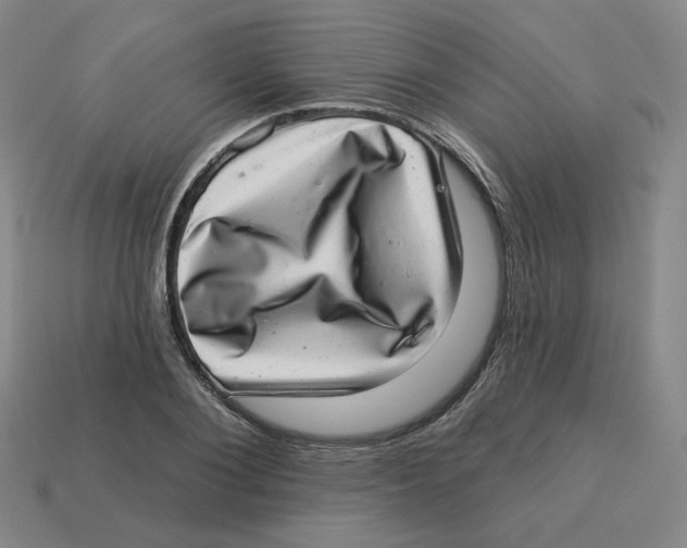 X0000113320884200910131126