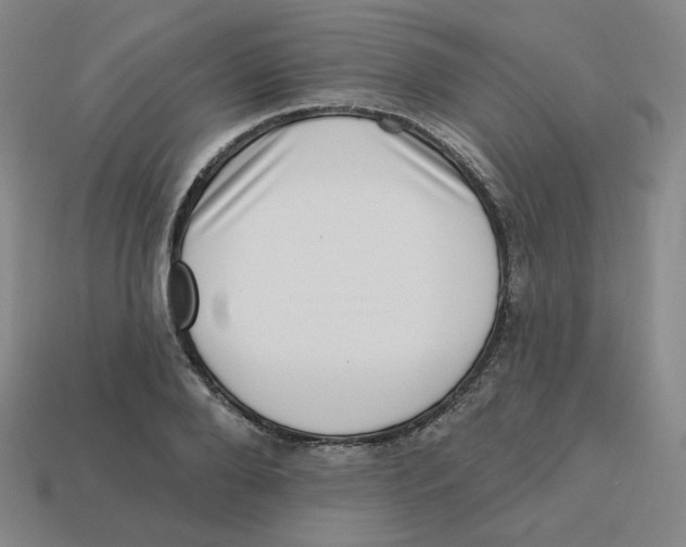 X0000113320888200910131126