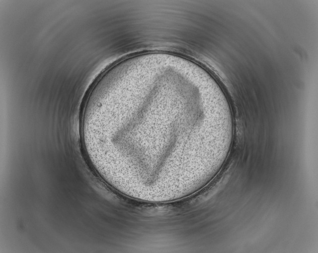 X0000113320891200910131126