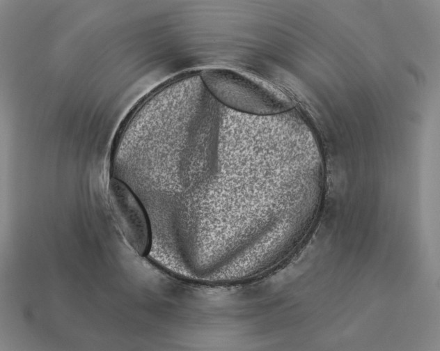 X0000113320892200910131126