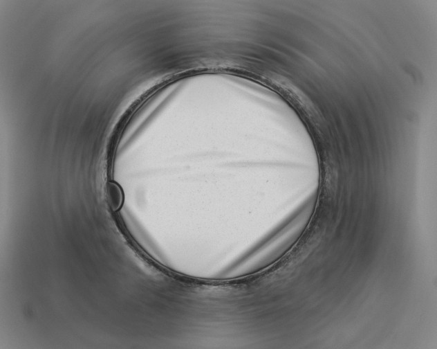 X0000113320894200910131126