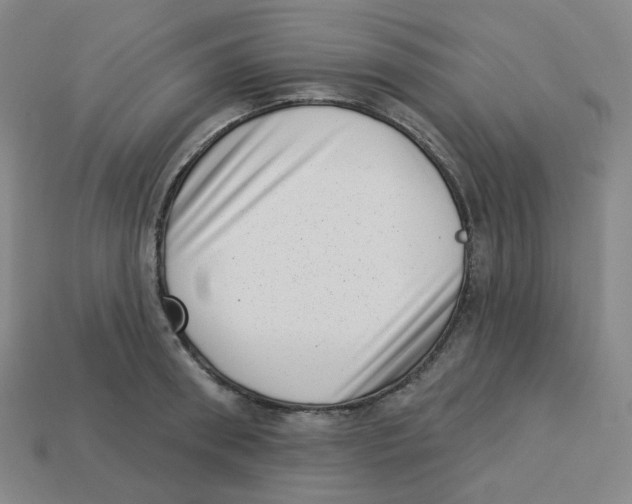 X0000113320898200910131126