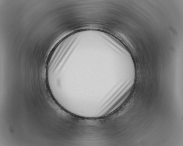 X0000113320900200910131126