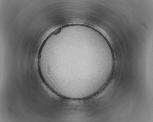 X0000113320901200910131126