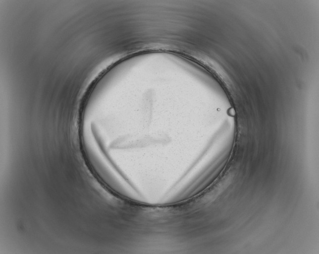 X0000113320902200910131126