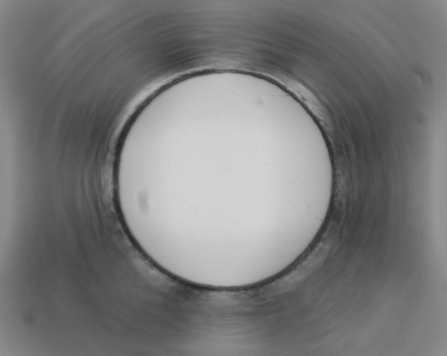 X0000113320904200910131126