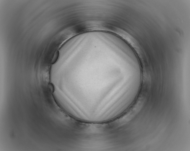 X0000113320905200910131126