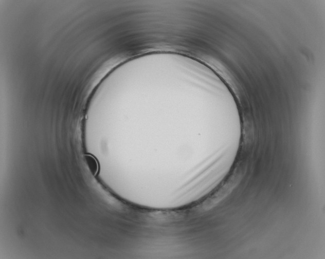 X0000113320906200910131126