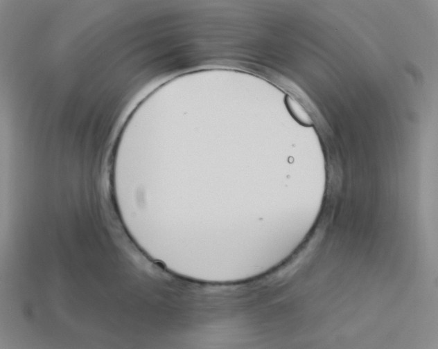 X0000113320908200910131126