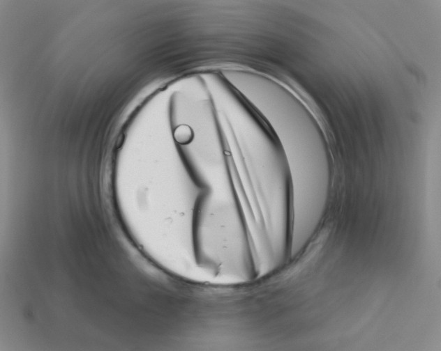 X0000113320909200910131126