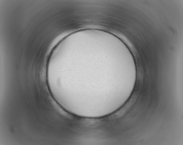 X0000113320910200910131126