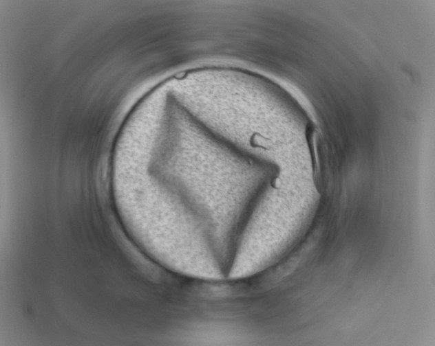 X0000113320911200910131126