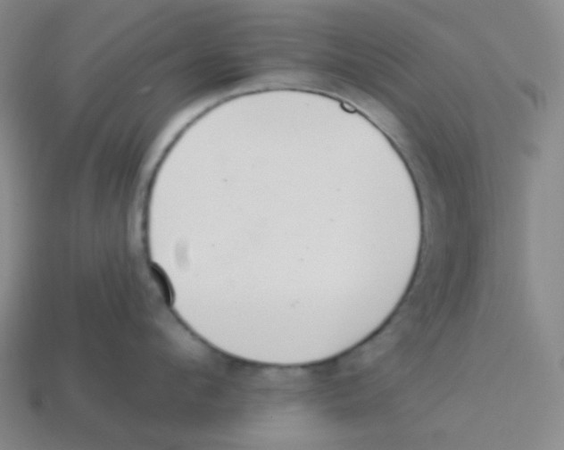 X0000113320912200910131126