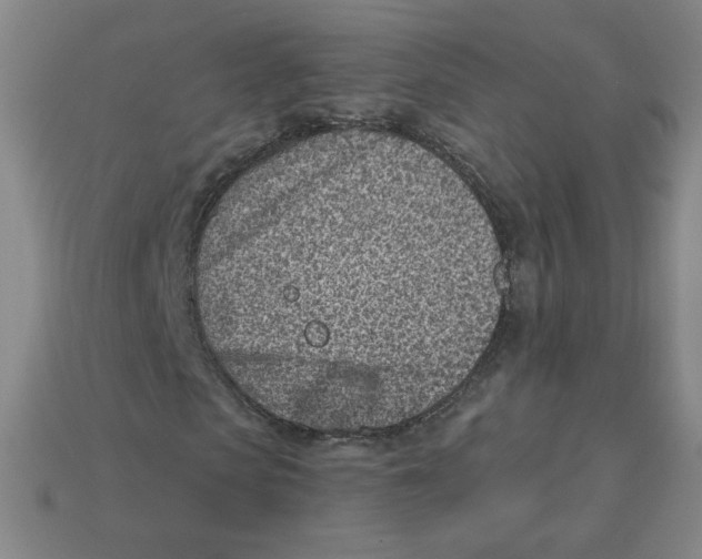 X0000113320913200910131125