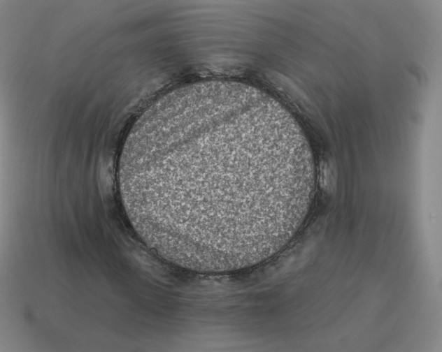 X0000113320915200910131125