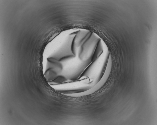 X0000113320916200910131125