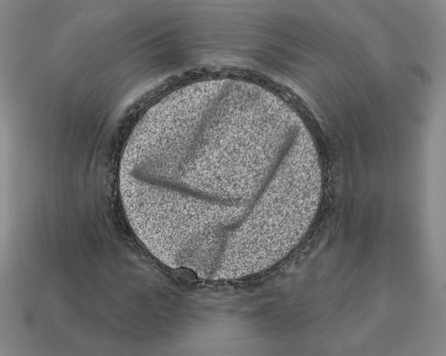 X0000113320919200910131125