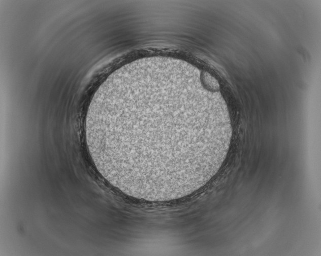 X0000113320920200910131125