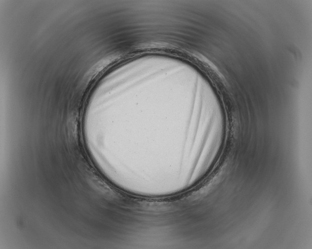 X0000113320921200910131125