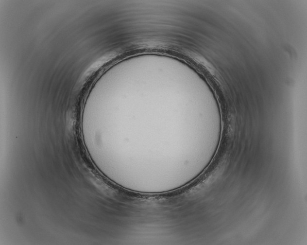 X0000113320922200910131125