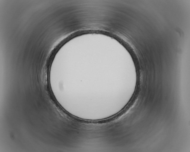 X0000113320925200910131125