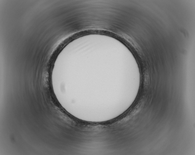 X0000113320926200910131125