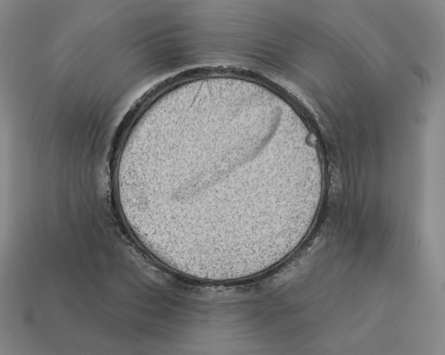 X0000113320927200910131125