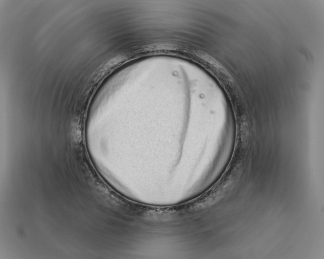 X0000113320929200910131125