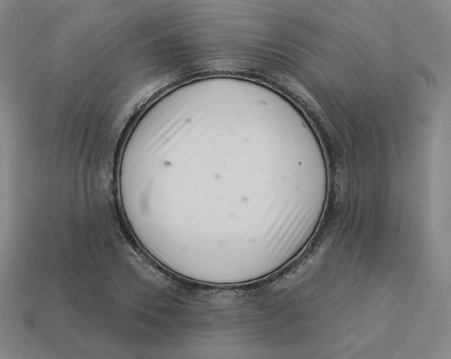 X0000113320930200910131125