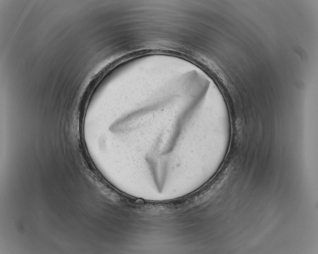 X0000113320931200910131125