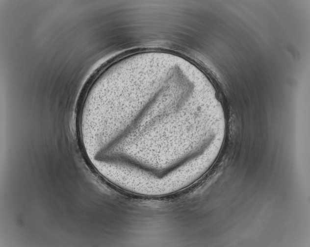 X0000113320932200910131125