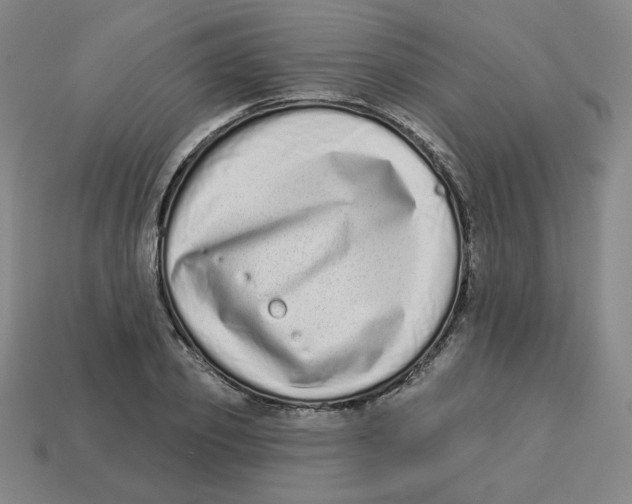 X0000113320933200910131125