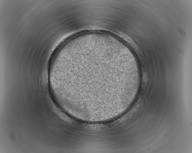 X0000113320934200910131125