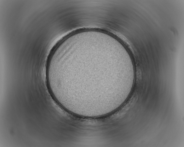 X0000113320935200910131125