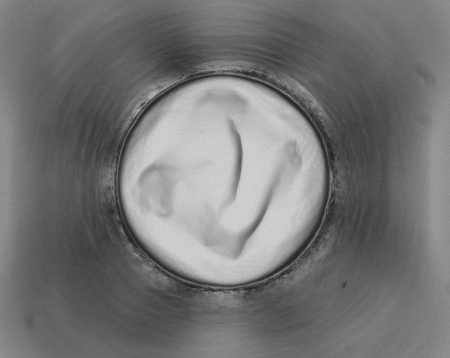 X0000113320937200910131125