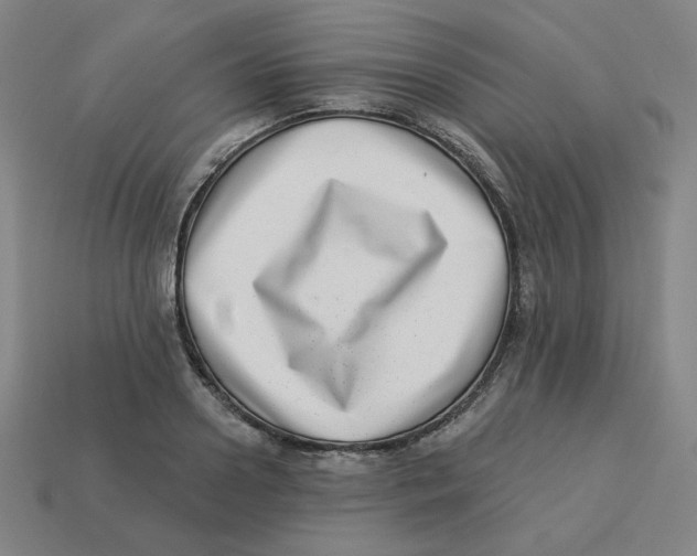 X0000113320938200910131125