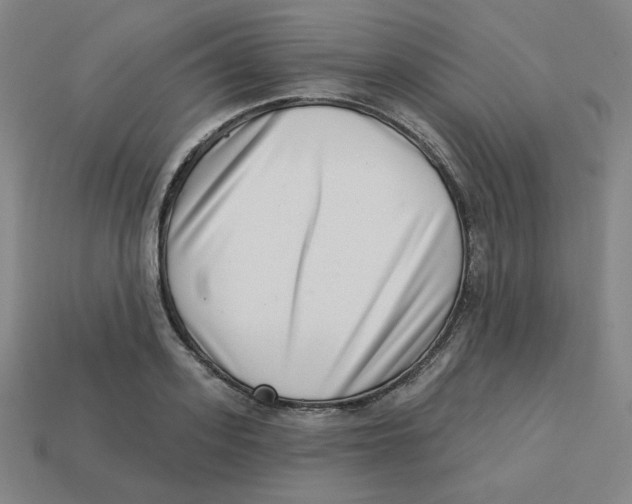 X0000113320939200910131125