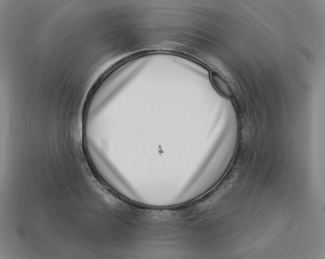 X0000113320940200910131125