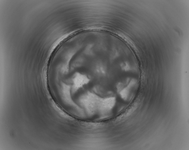 X0000113320941200910131125